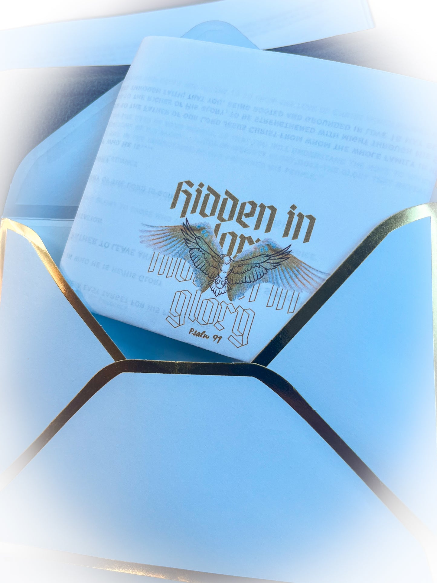 Hidden In Glory Prophetic Sweat Shirt